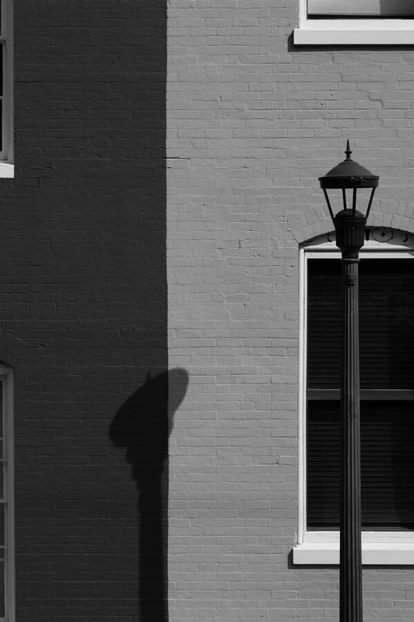 Walls of Staunton 012